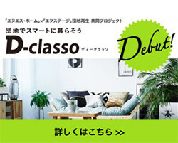 D-classo
